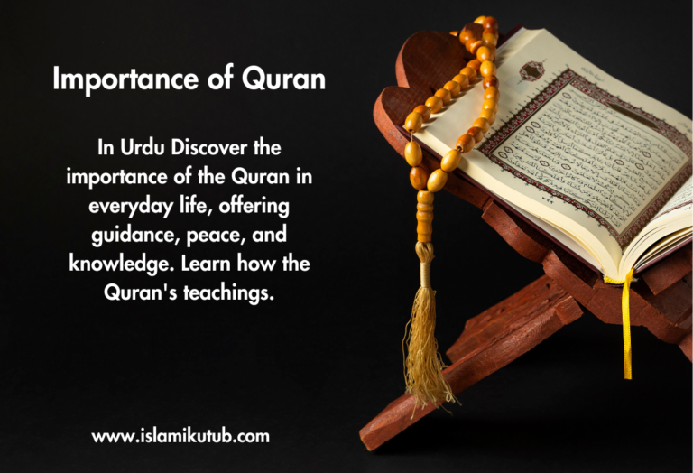 Importance of Quran